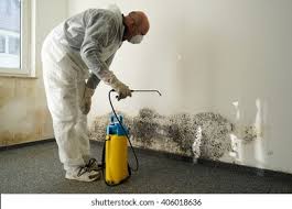 Why You Should Choose Our Mold Remediation Services in Northwood, OH